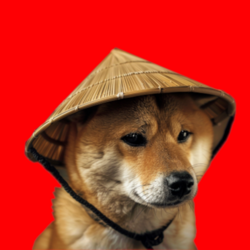 chinese-doge-wow