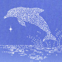 dolphin-2