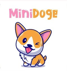 minidoge-2