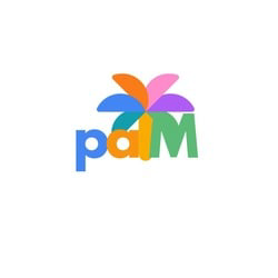 palm-ai