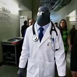 pigeon-doctor