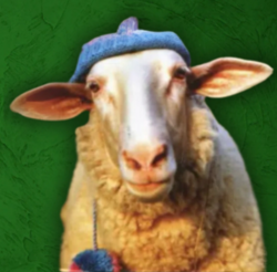 sheep-wif-hat