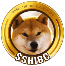 shiba-classic-2