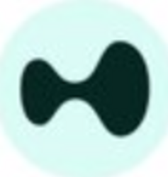 wormhole-bridged-hype